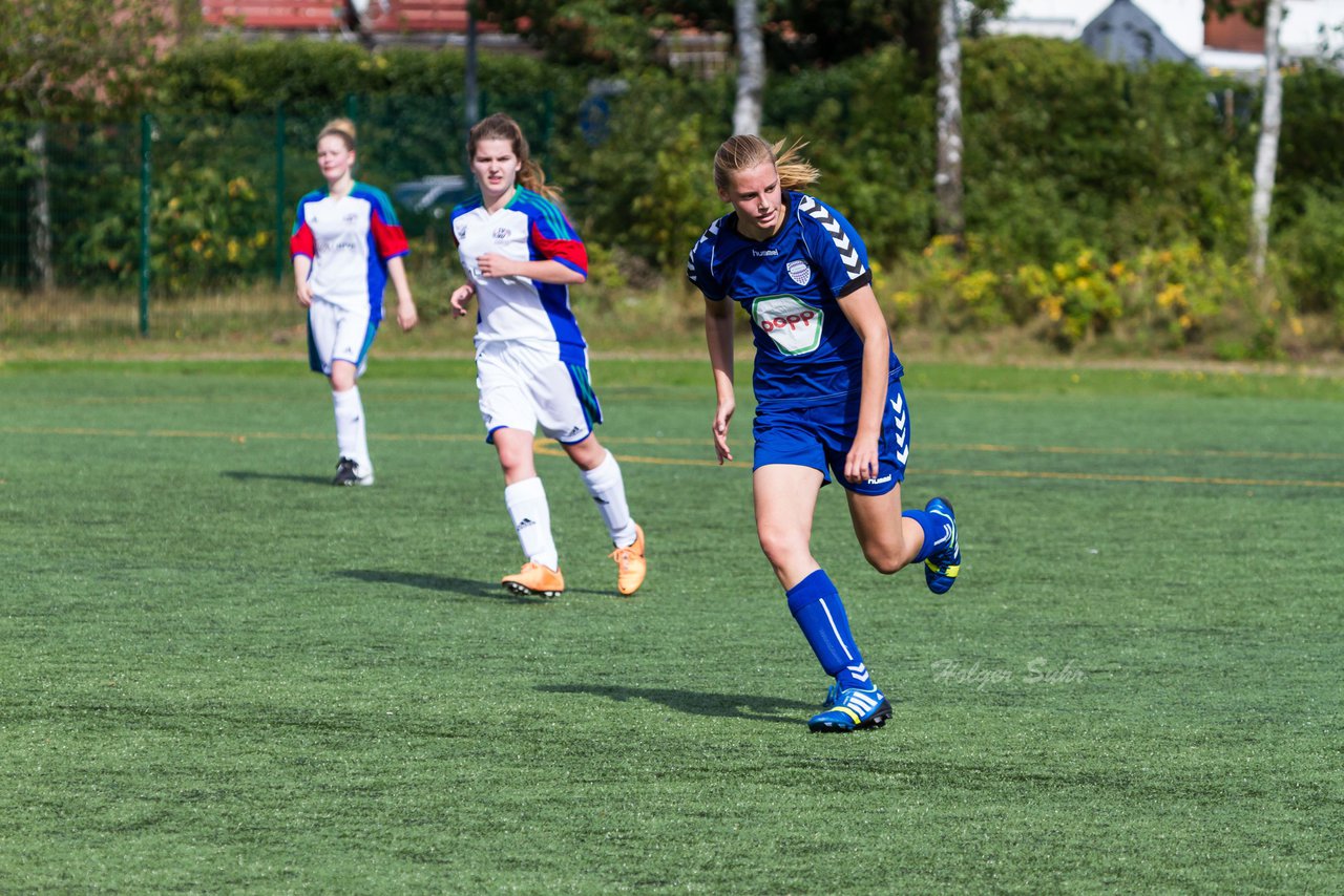 Bild 213 - B-Juniorinnen SV Henstedt Ulzburg - FSC Kaltenkirchen : Ergebnis: 3:2